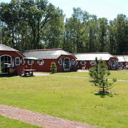אתר קמפינג Camping De Pampel 5*