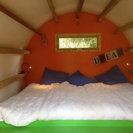 אתר קמפינג Camping De Pampel הונדרלו